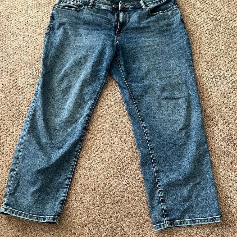American eagle girlfriend jean size 18w